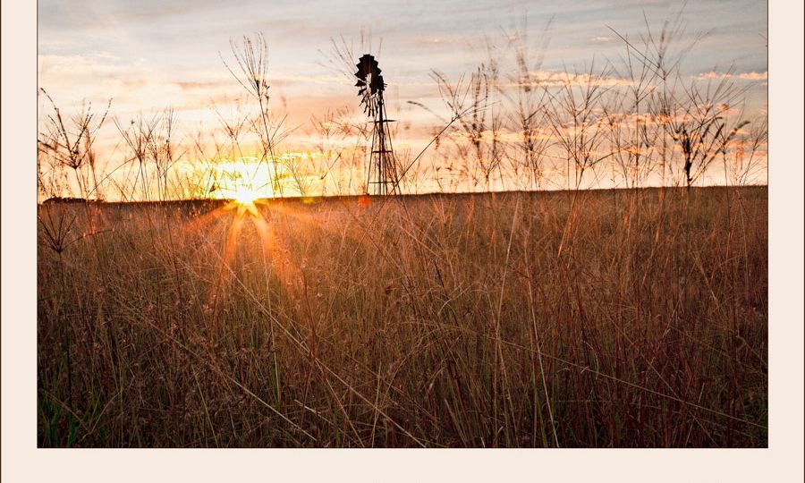 Lechwe-veld