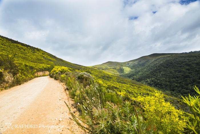 R339 Prince Alfred pass