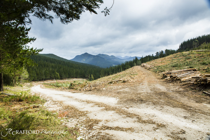 R339 Prince Alfred pass