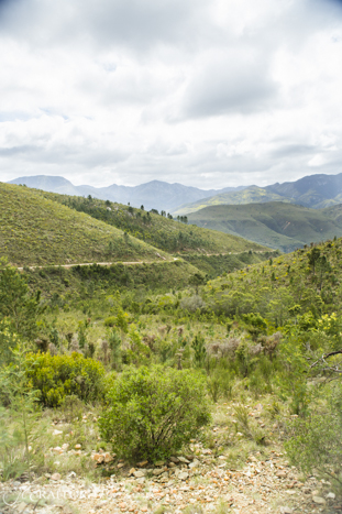 R339 Prince Alfred pass