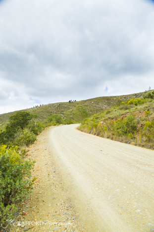 R339 Prince Alfred pass