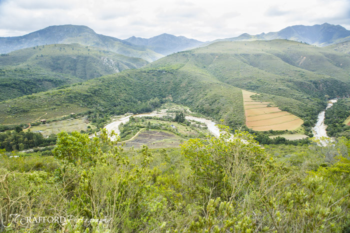 R339 Prince Alfred pass