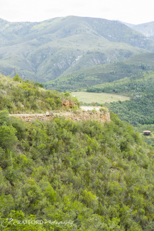 R339 Prince Alfred pass