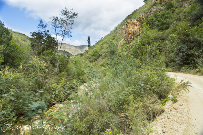 R339 Prince Alfred pass