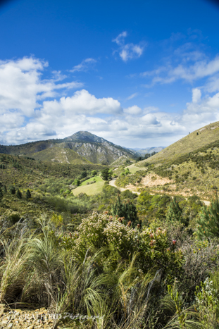 R339 Prince Alfred pass