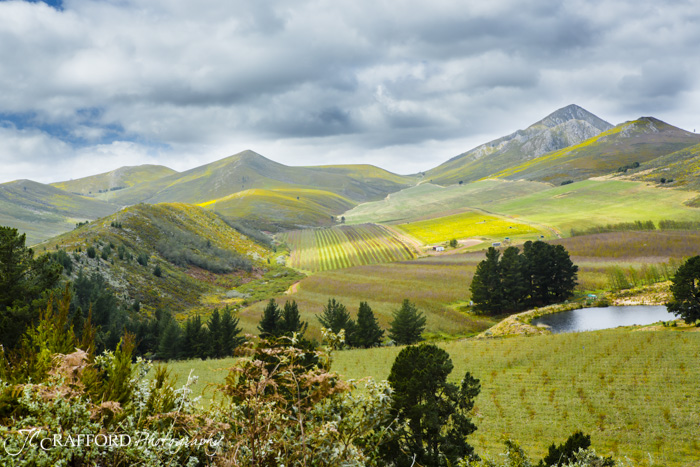 R339 Prince Alfred pass