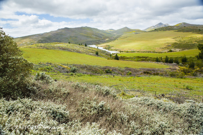 R339 Prince Alfred pass