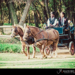 Oakfield Farm wedding photography by JC Crafford Photography