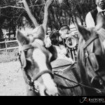 Oakfield Farm wedding photography by JC Crafford Photography