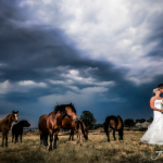 de hoek country estate in Heidelberg wedding photography by JC Crafford Photography