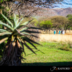 Thaba Nkwe wedding photography by JC Crafford Photography