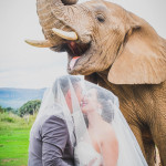 Askari Lodge wedding photography by JC Crafford Photography