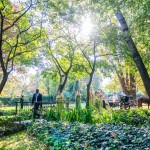 Oakfield farm wedding Photography by JC Crafford Photography