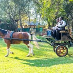 Oakfield farm wedding photography by JC Crafford Photography - MI