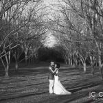 JC Crafford Photo and Video wedding photography at Greenleaves MM